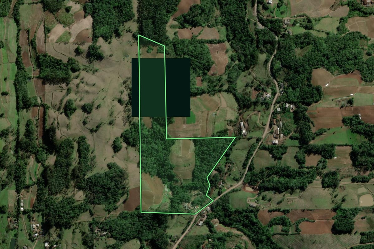 Imagem de satélite do imóvel rural em Santa Cruz do Sul (RS), com o contorno declarado no CAR desenhado por cima.