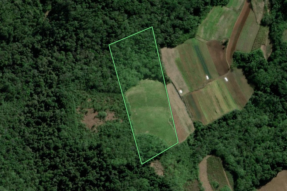 Imagem de satélite do imóvel rural em Santa Cruz do Sul (RS), com o contorno declarado no CAR desenhado por cima.