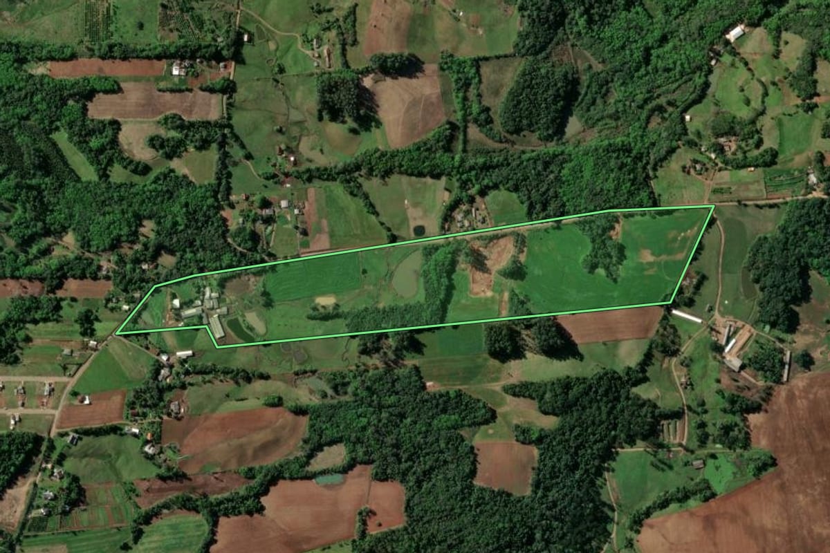 Imagem de satélite do imóvel rural em Santa Cruz do Sul (RS), com o contorno declarado no CAR desenhado por cima.