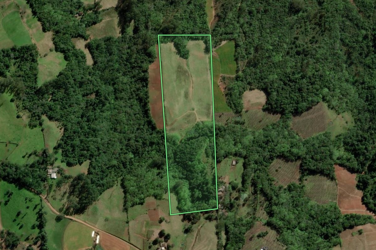 Imagem de satélite do imóvel rural em Santa Cruz do Sul (RS), com o contorno declarado no CAR desenhado por cima.