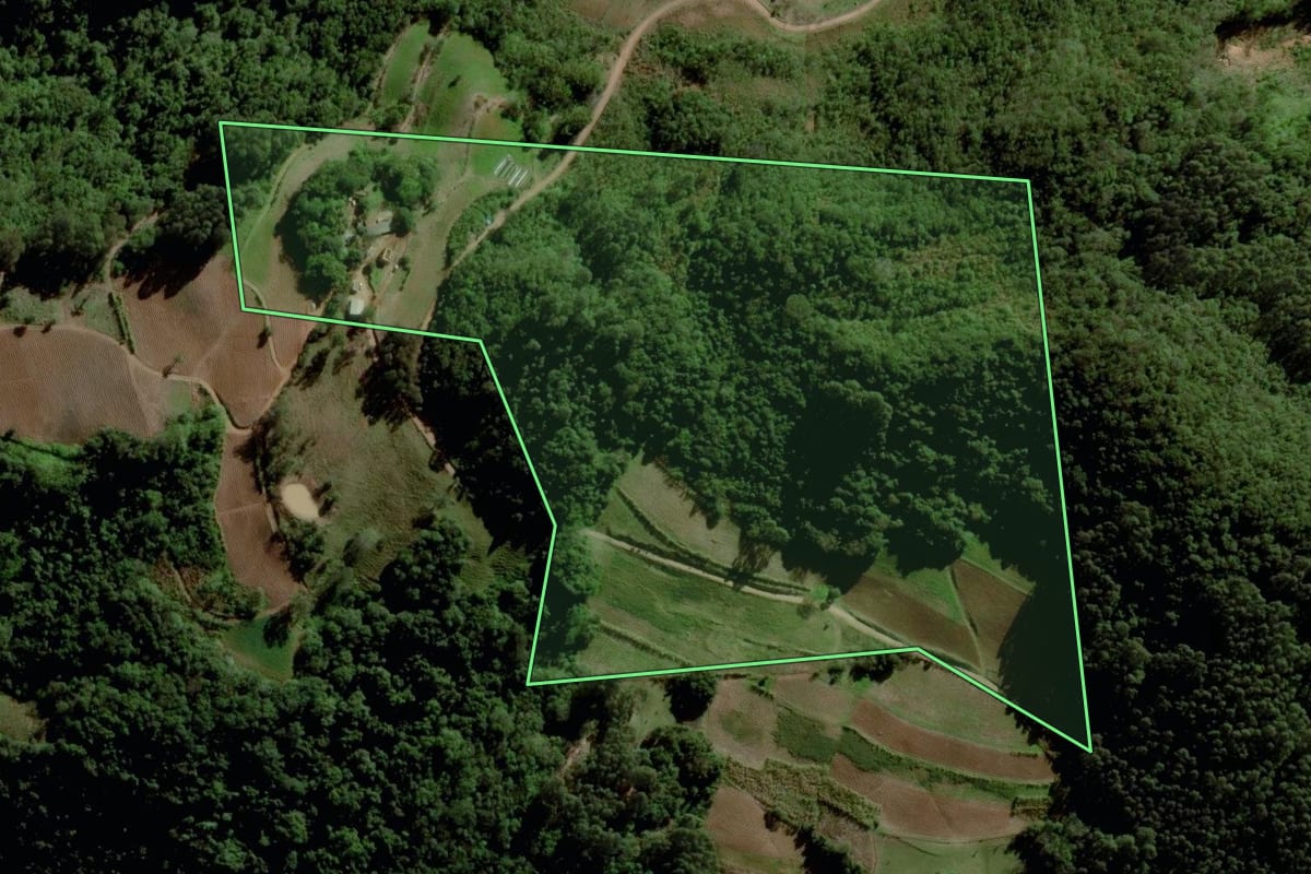 Imagem de satélite do imóvel rural em Santa Cruz do Sul (RS), com o contorno declarado no CAR desenhado por cima.