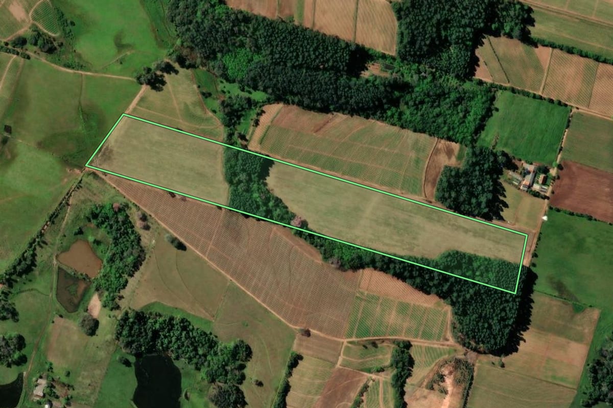 Imagem de satélite do imóvel rural em Santa Cruz do Sul (RS), com o contorno declarado no CAR desenhado por cima.