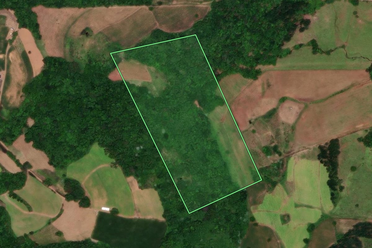 Imagem de satélite do imóvel rural em Santa Cruz do Sul (RS), com o contorno declarado no CAR desenhado por cima.