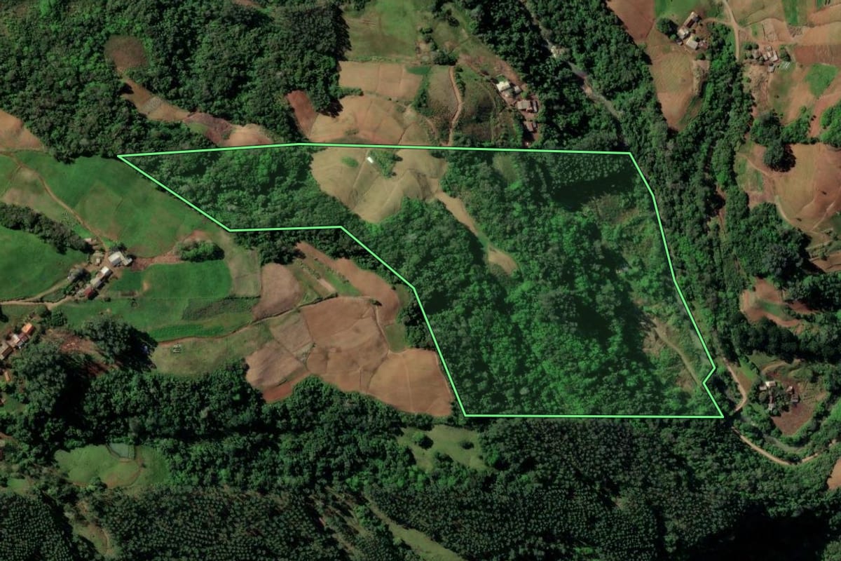 Imagem de satélite do imóvel rural em Santa Cruz do Sul (RS), com o contorno declarado no CAR desenhado por cima.