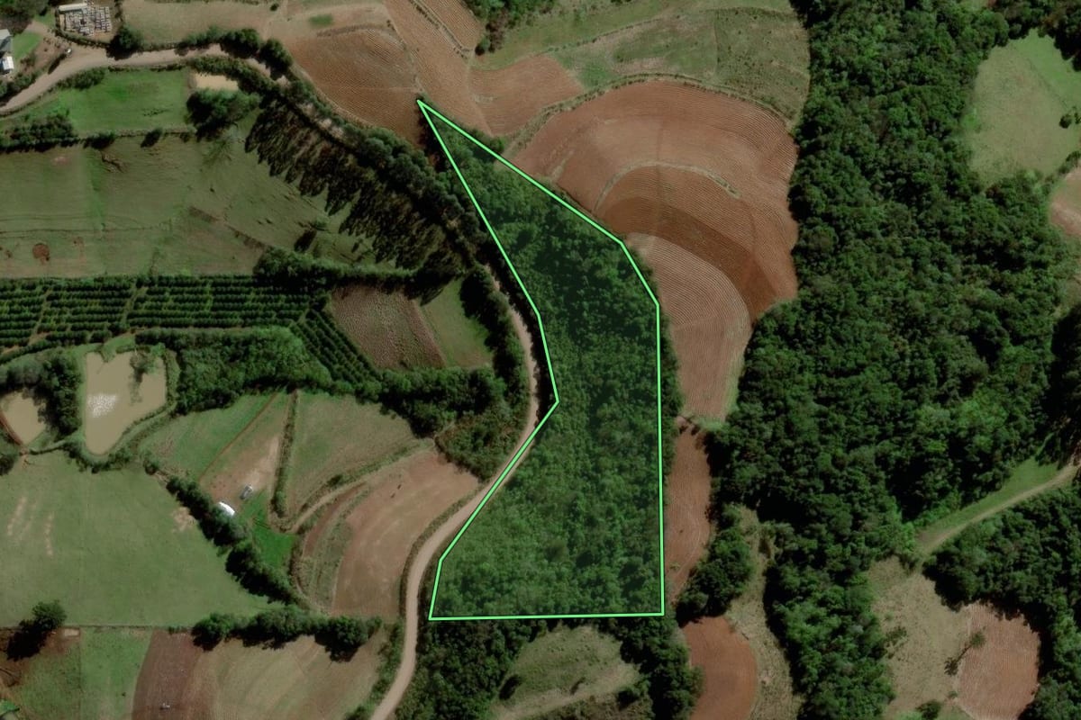 Imagem de satélite do imóvel rural em Santa Cruz do Sul (RS), com o contorno declarado no CAR desenhado por cima.