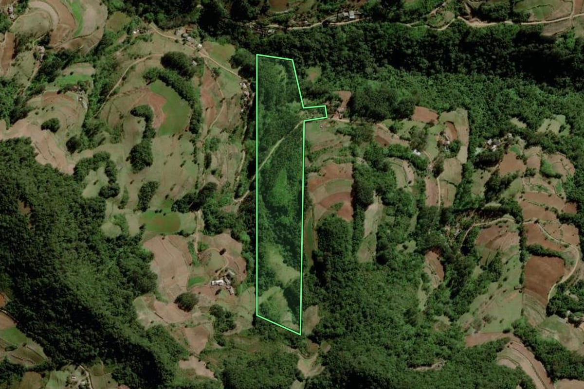 Imagem de satélite do imóvel rural em Santa Cruz do Sul (RS), com o contorno declarado no CAR desenhado por cima.