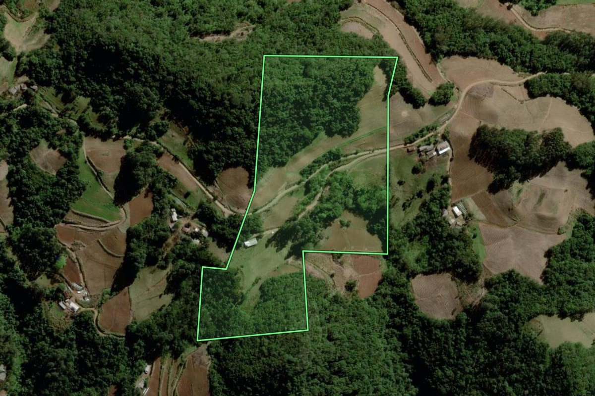 Imagem de satélite do imóvel rural em Santa Cruz do Sul (RS), com o contorno declarado no CAR desenhado por cima.