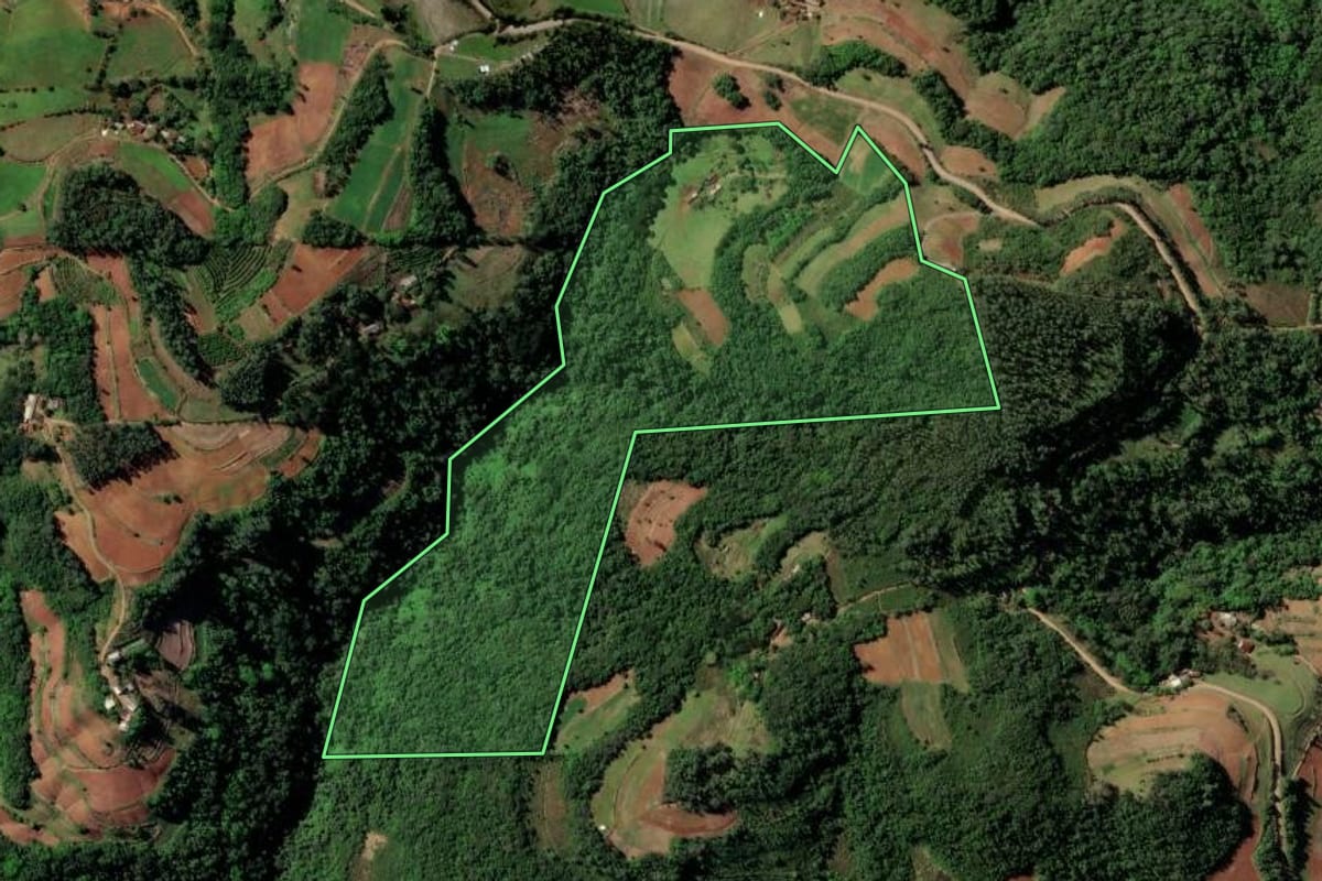 Imagem de satélite do imóvel rural em Santa Cruz do Sul (RS), com o contorno declarado no CAR desenhado por cima.