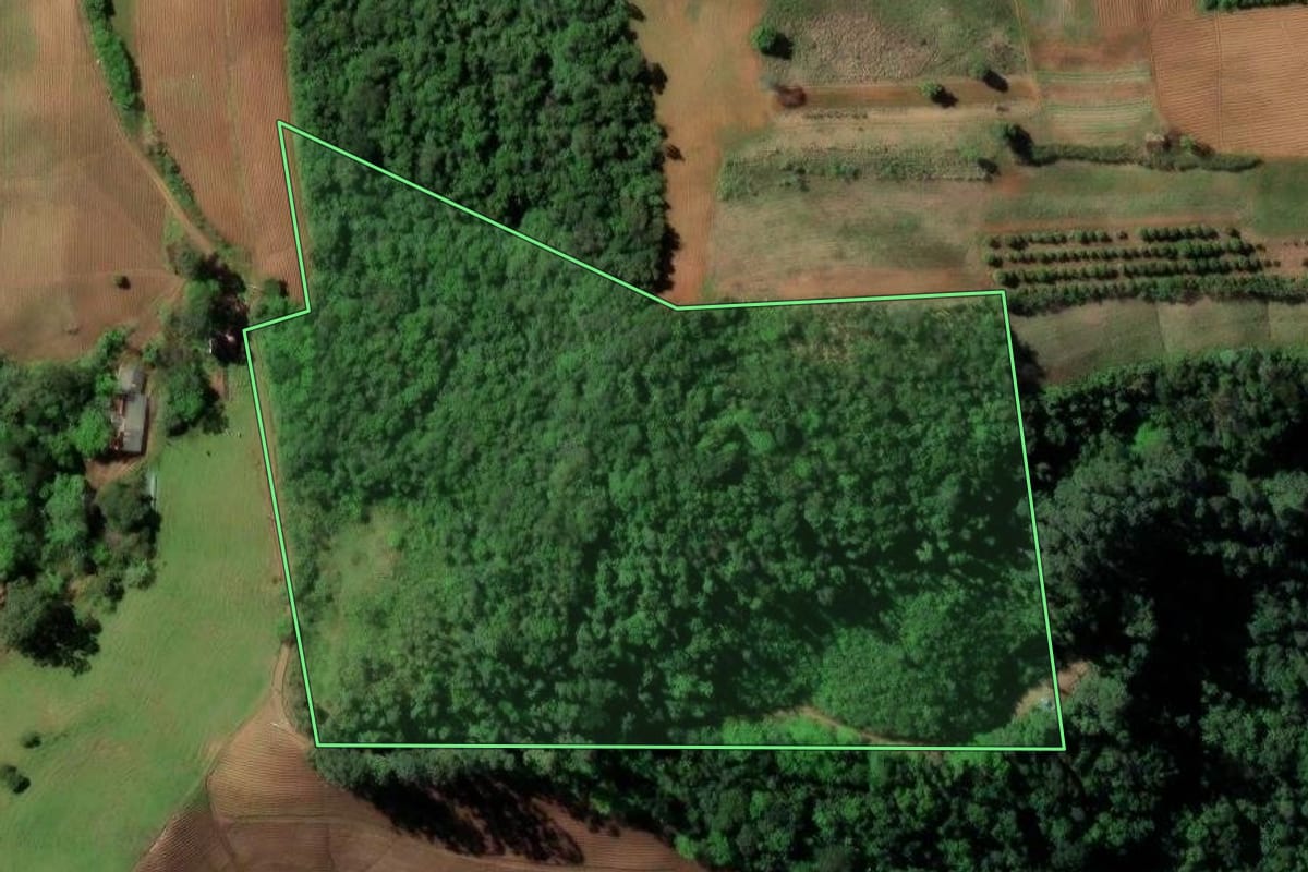 Imagem de satélite do imóvel rural em Santa Cruz do Sul (RS), com o contorno declarado no CAR desenhado por cima.
