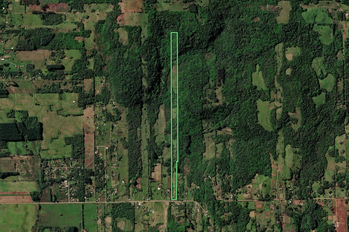 Imagem de satélite do imóvel rural em Santa Cruz do Sul (RS), com o contorno declarado no CAR desenhado por cima.