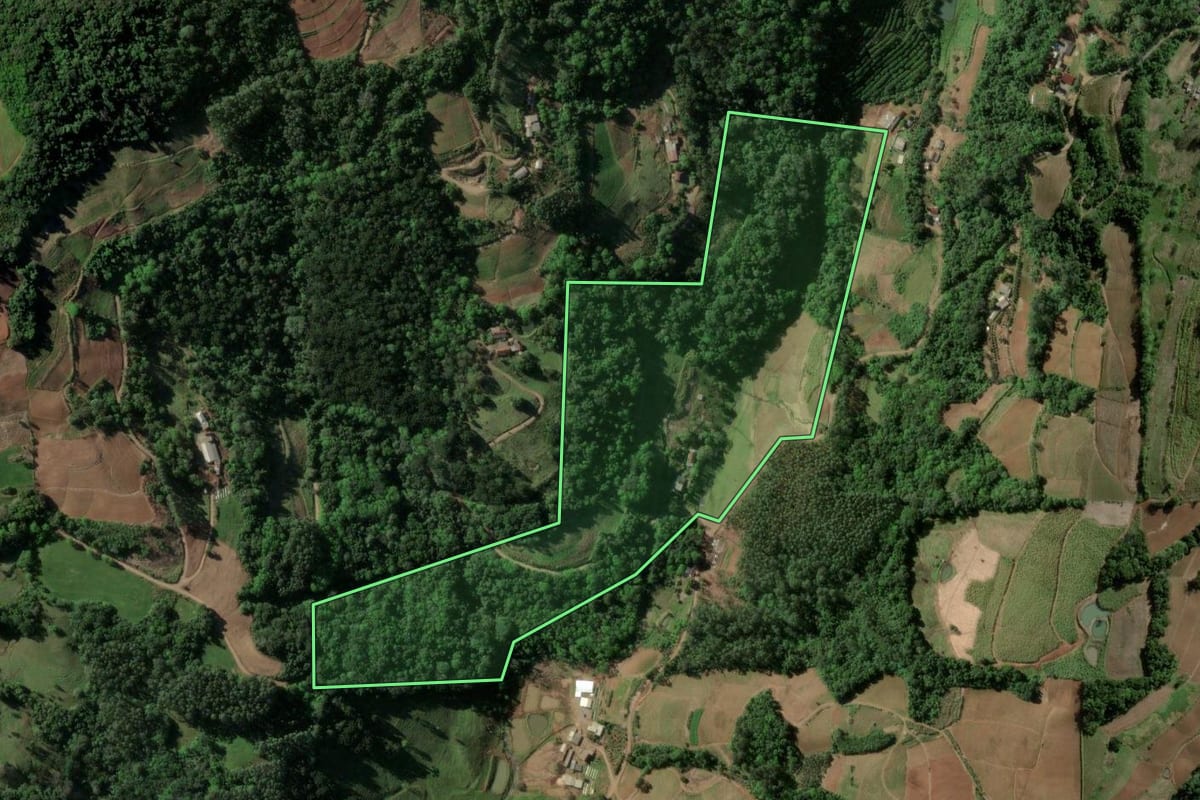 Imagem de satélite do imóvel rural em Santa Cruz do Sul (RS), com o contorno declarado no CAR desenhado por cima.