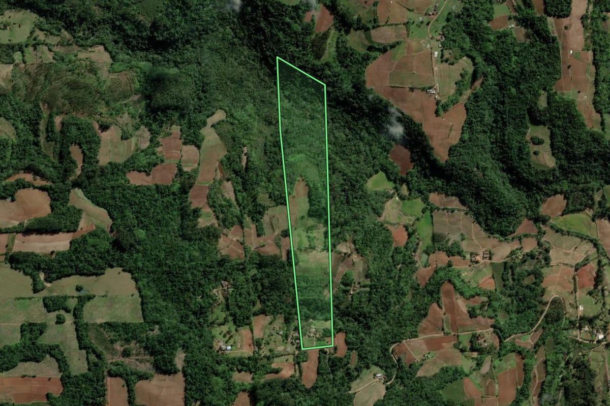 Imagem de satélite do imóvel rural em Santa Cruz do Sul (RS), com o contorno declarado no CAR desenhado por cima.