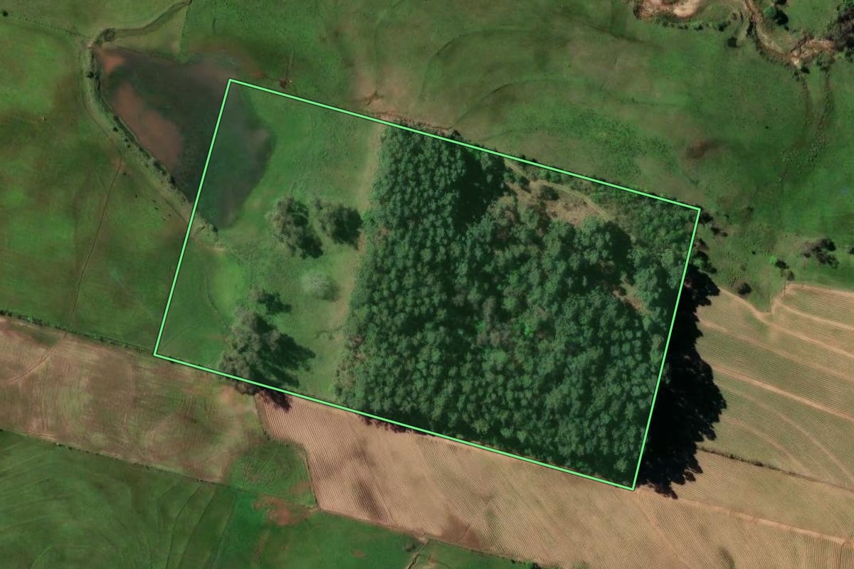Imagem de satélite do imóvel rural em Santa Cruz do Sul (RS), com o contorno declarado no CAR desenhado por cima.