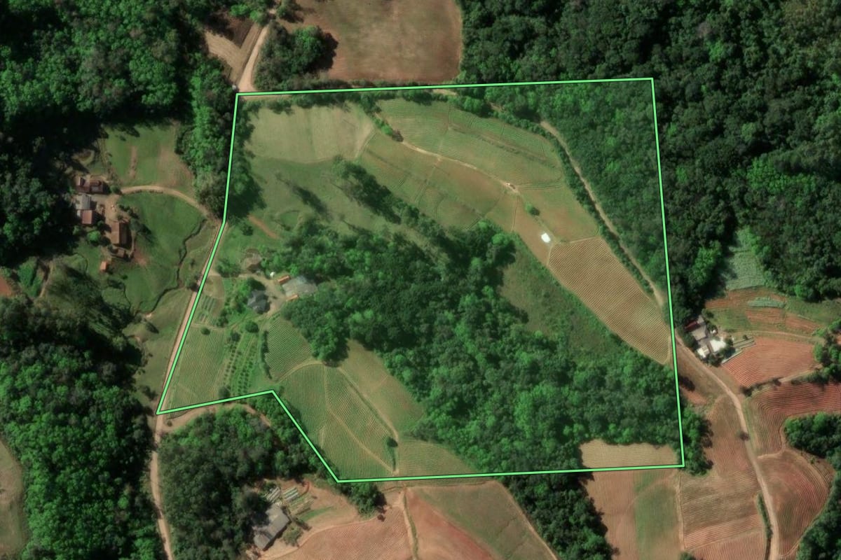 Imagem de satélite do imóvel rural em Santa Cruz do Sul (RS), com o contorno declarado no CAR desenhado por cima.