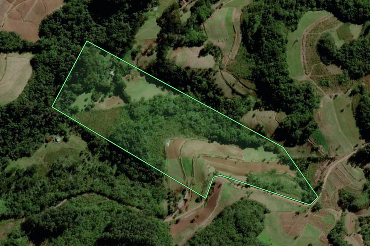 Imagem de satélite do imóvel rural em Santa Cruz do Sul (RS), com o contorno declarado no CAR desenhado por cima.