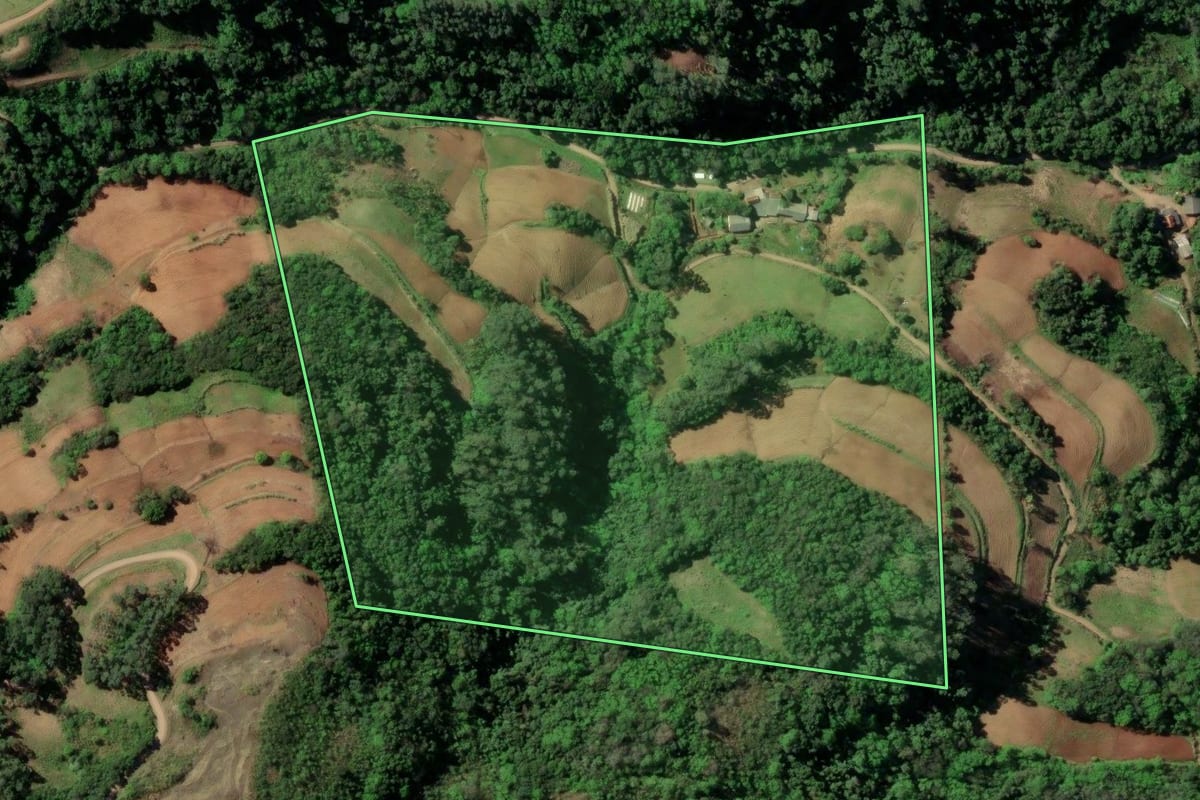 Imagem de satélite do imóvel rural em Santa Cruz do Sul (RS), com o contorno declarado no CAR desenhado por cima.