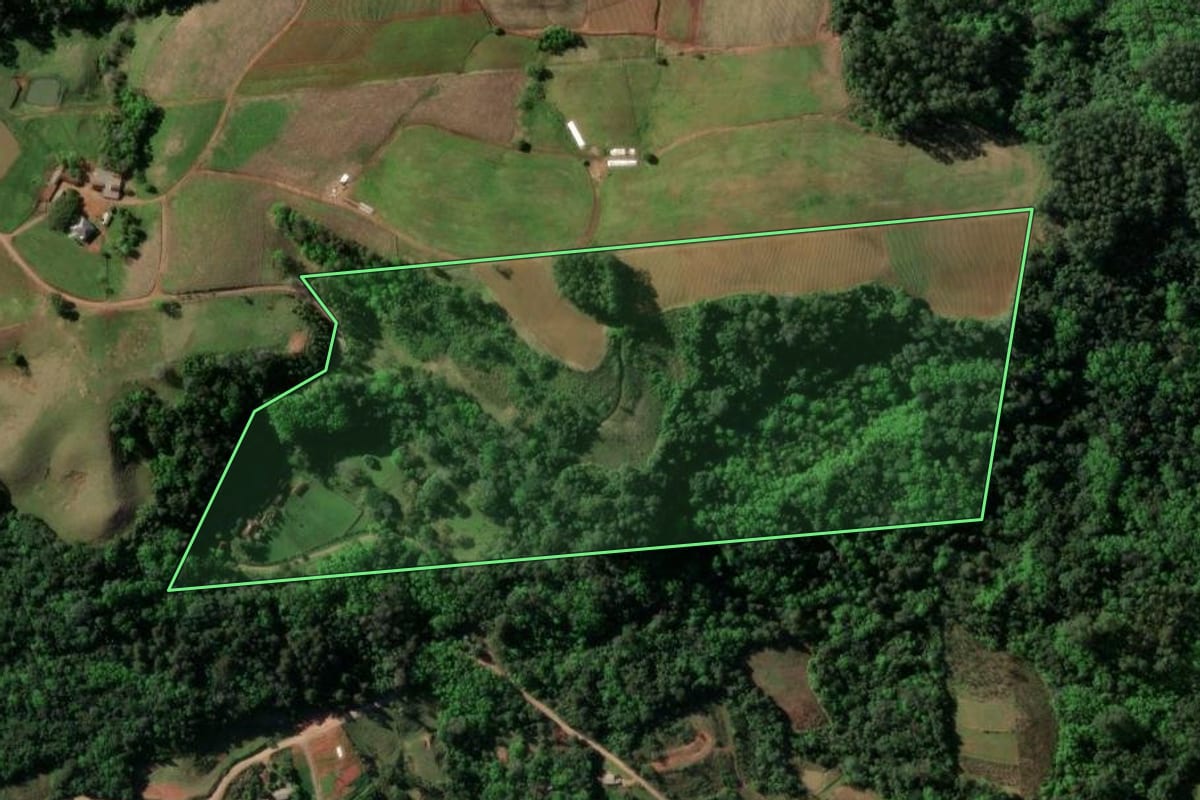 Imagem de satélite do imóvel rural em Santa Cruz do Sul (RS), com o contorno declarado no CAR desenhado por cima.