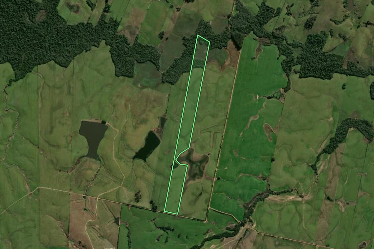Imagem de satélite do imóvel rural em Santa Maria (RS), com o contorno declarado no CAR desenhado por cima.