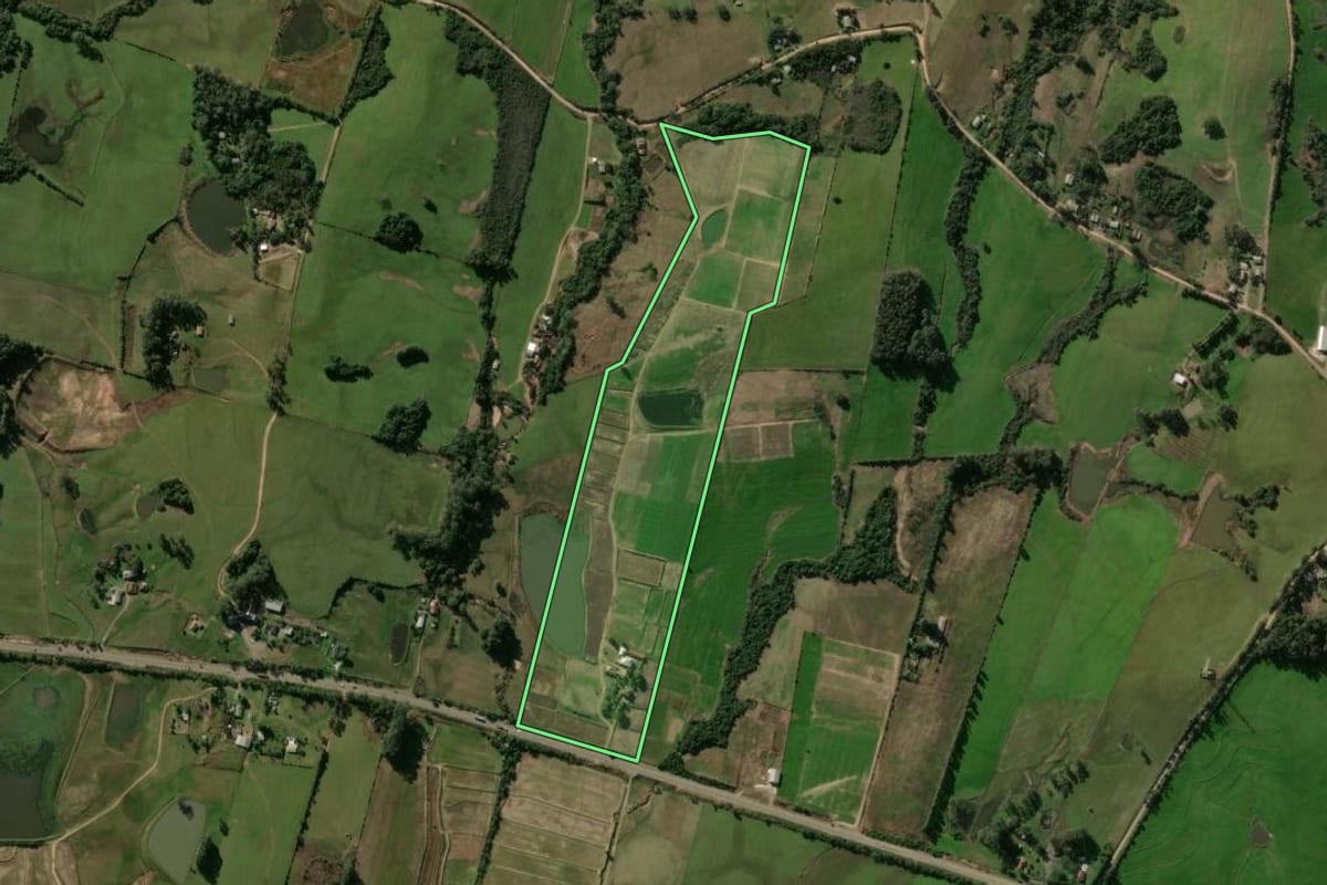 Imagem de satélite do imóvel rural em Santa Maria (RS), com o contorno declarado no CAR desenhado por cima.
