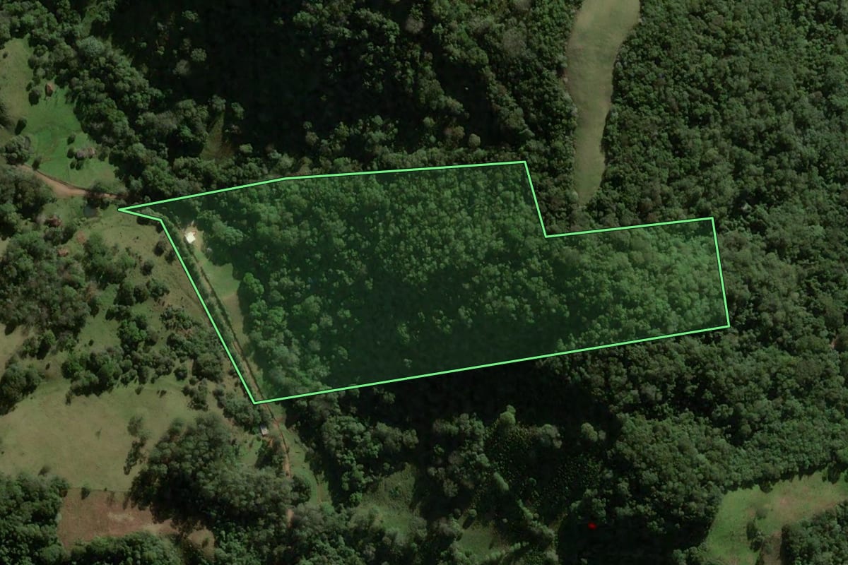 Imagem de satélite do imóvel rural em Santa Maria (RS), com o contorno declarado no CAR desenhado por cima.