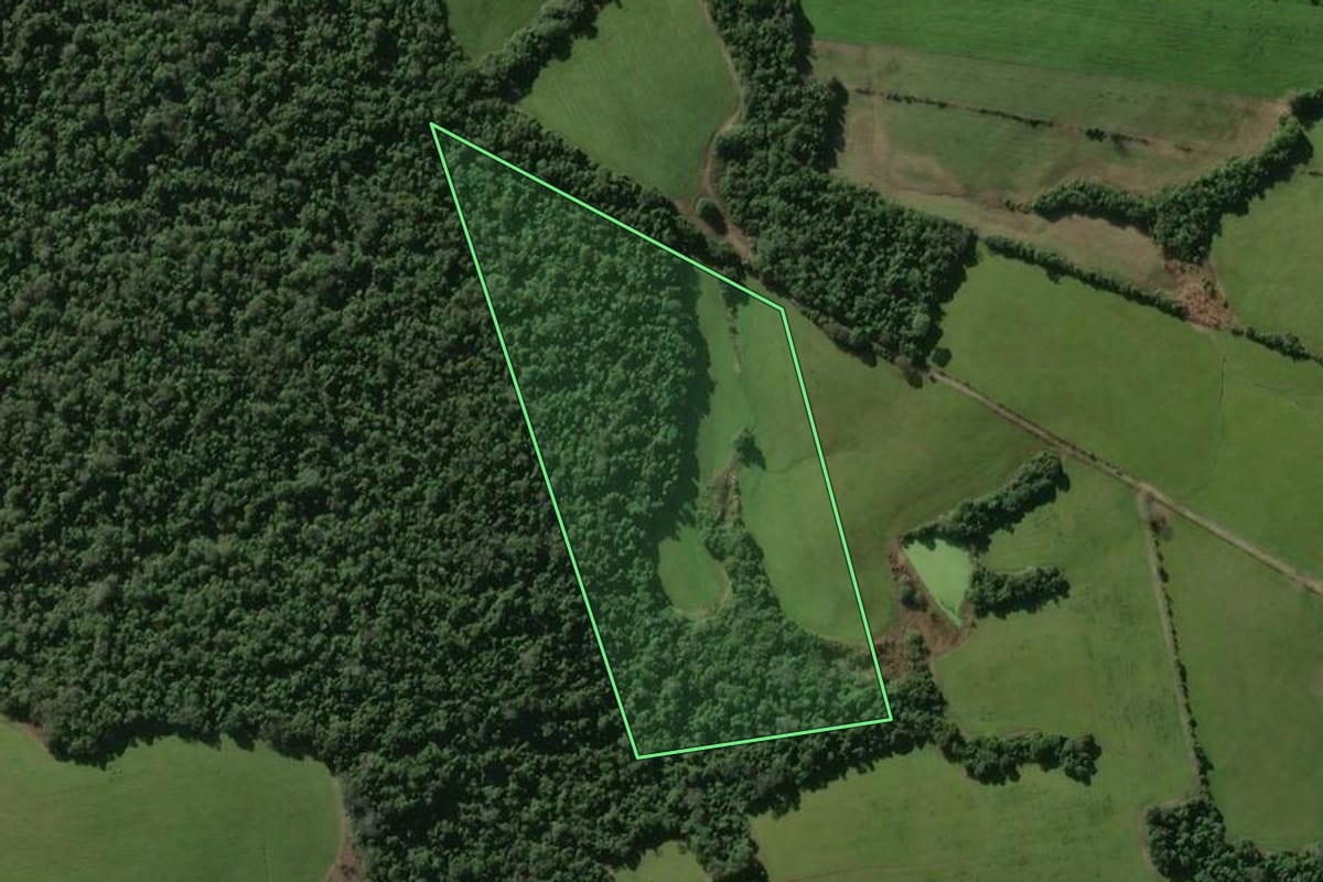 Imagem de satélite do imóvel rural em Santa Maria (RS), com o contorno declarado no CAR desenhado por cima.