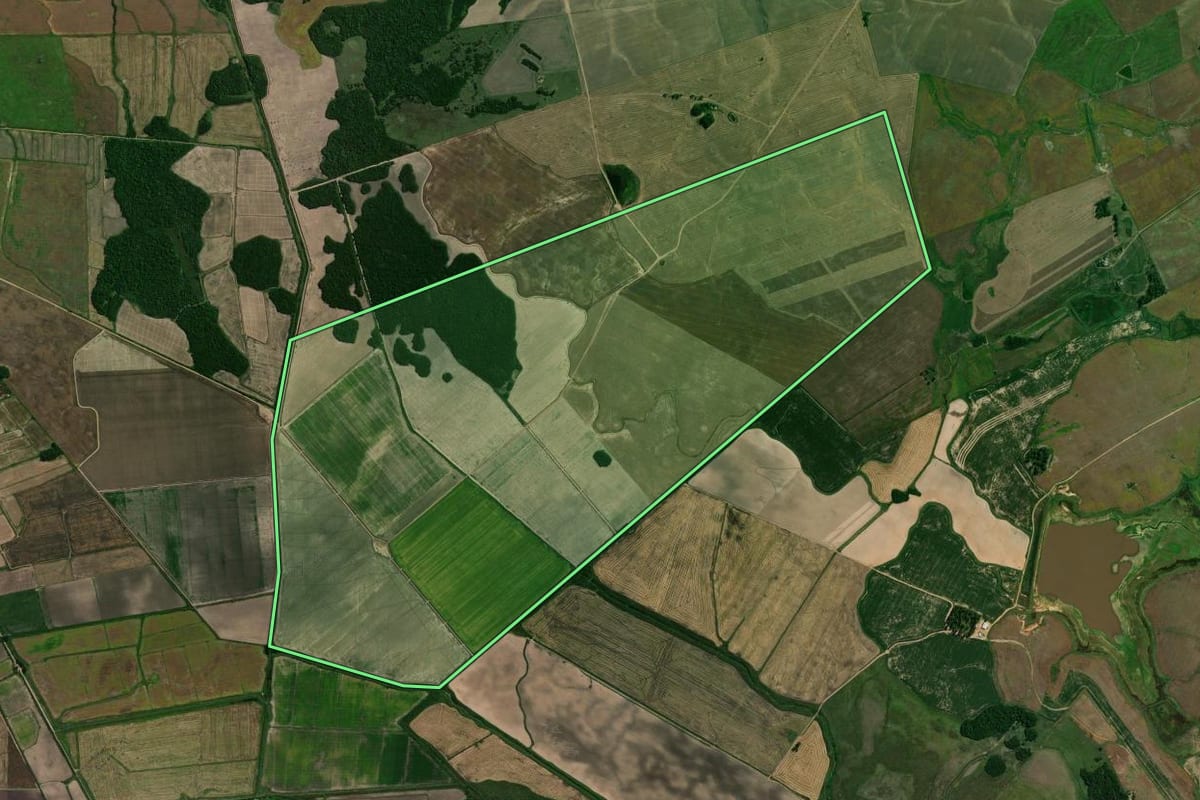 Imagem de satélite do imóvel rural em Santa Maria (RS), com o contorno declarado no CAR desenhado por cima.