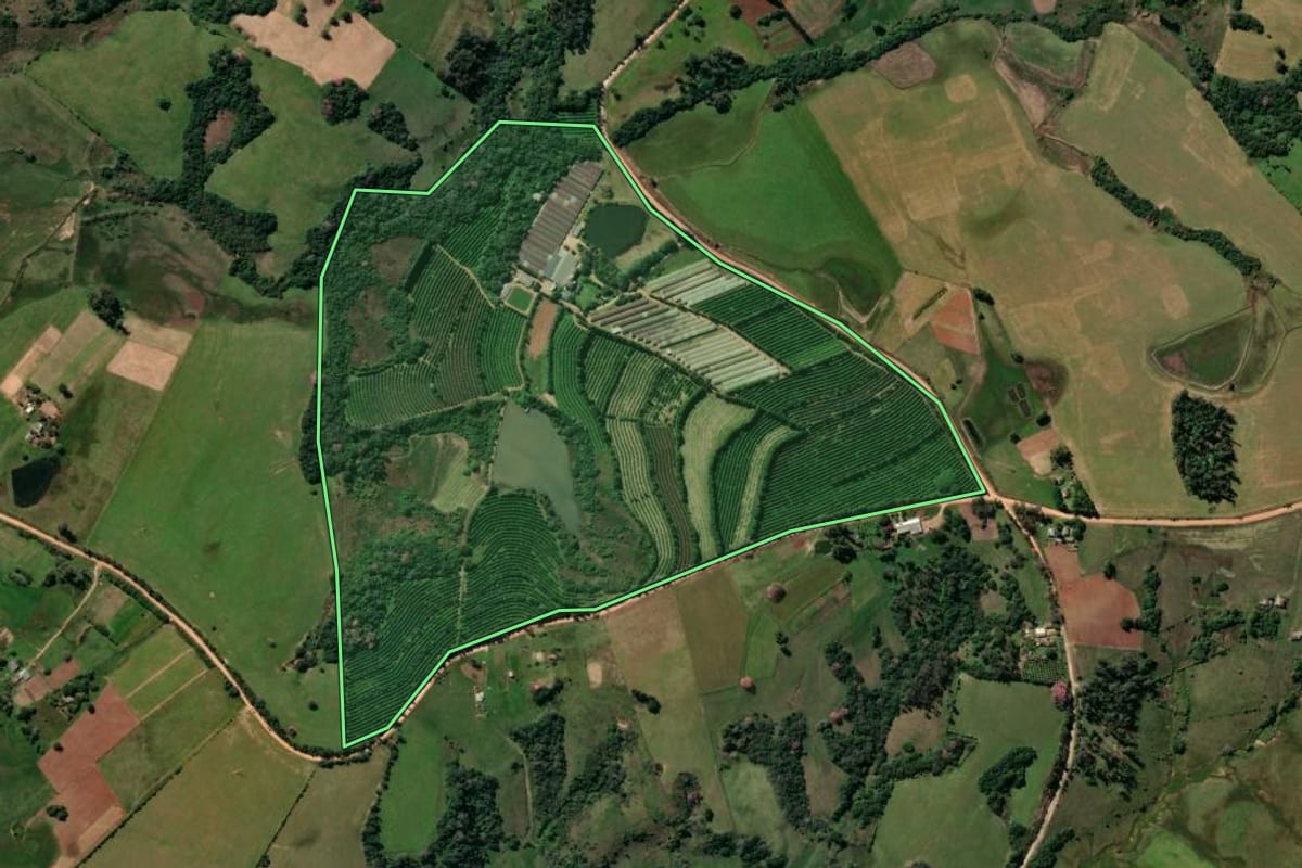 Imagem de satélite do imóvel rural em Santa Maria (RS), com o contorno declarado no CAR desenhado por cima.