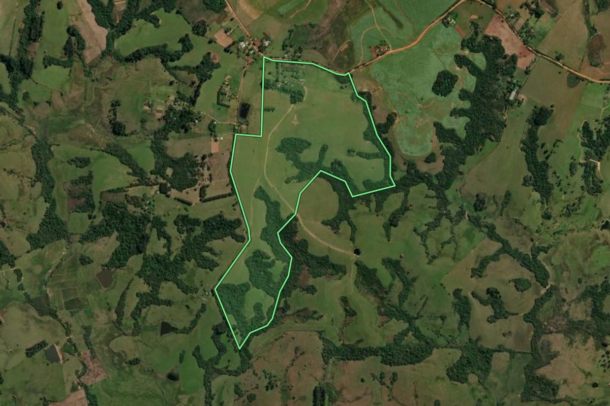 Imagem de satélite do imóvel rural em Santa Maria (RS), com o contorno declarado no CAR desenhado por cima.