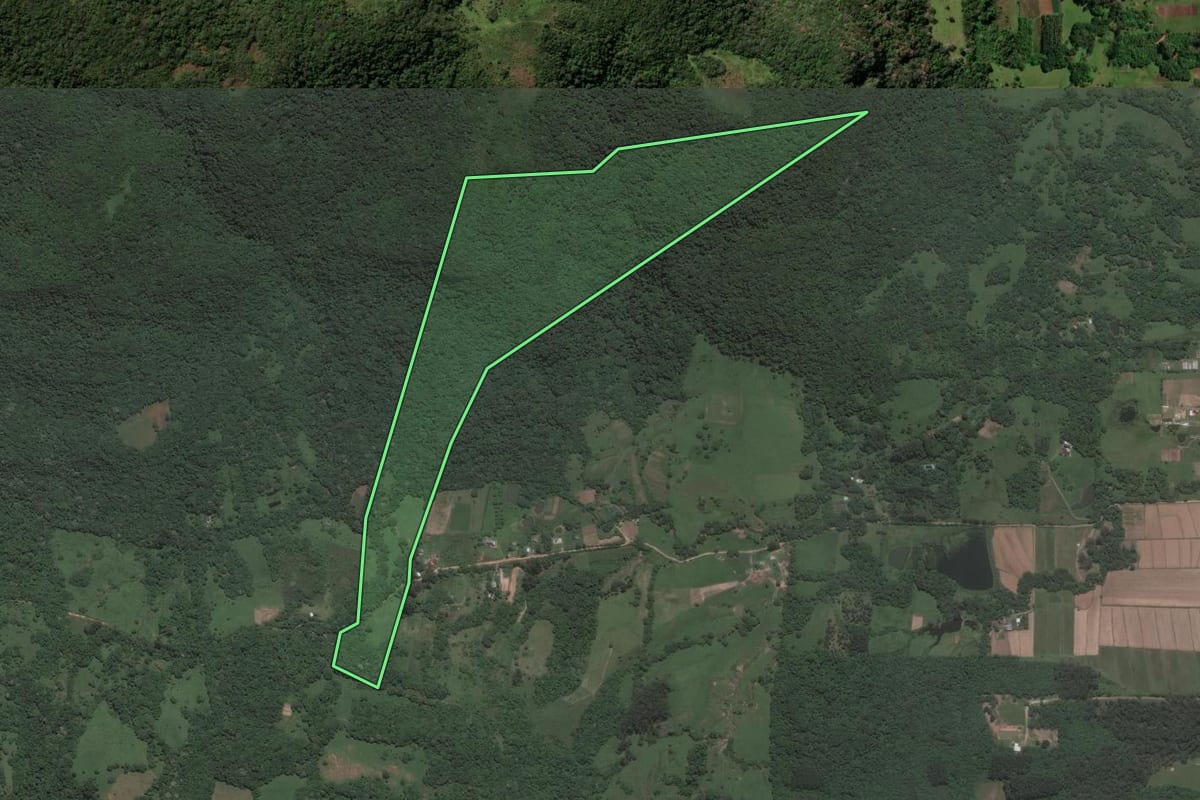 Imagem de satélite do imóvel rural em Santa Maria (RS), com o contorno declarado no CAR desenhado por cima.