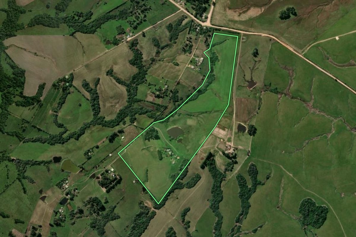 Imagem de satélite do imóvel rural em Santa Maria (RS), com o contorno declarado no CAR desenhado por cima.