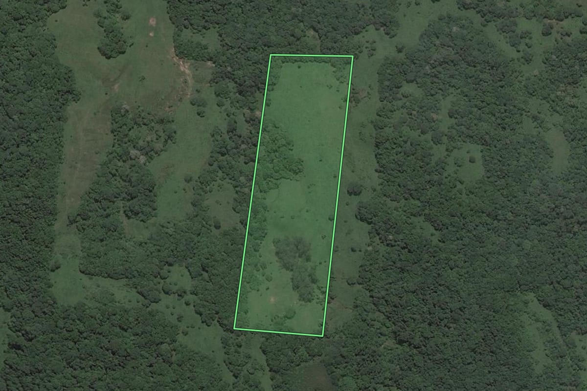 Imagem de satélite do imóvel rural em Santa Maria (RS), com o contorno declarado no CAR desenhado por cima.
