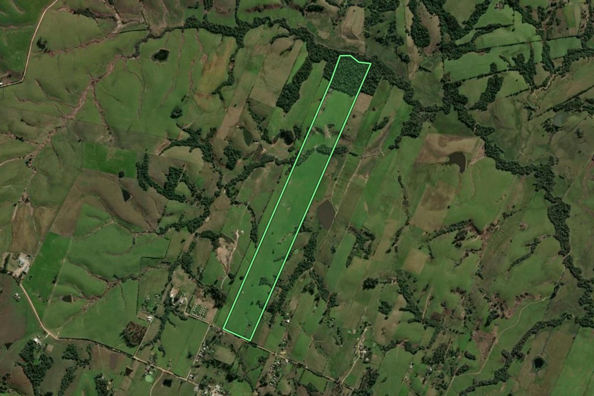 Imagem de satélite do imóvel rural em Santa Maria (RS), com o contorno declarado no CAR desenhado por cima.