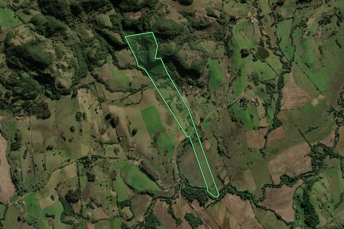 Imagem de satélite do imóvel rural em Santa Maria (RS), com o contorno declarado no CAR desenhado por cima.