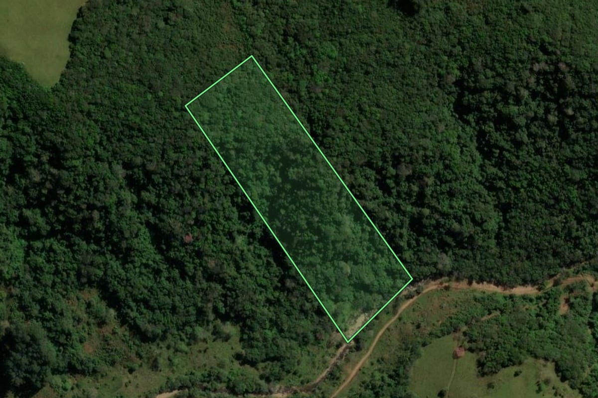 Imagem de satélite do imóvel rural em Santa Maria (RS), com o contorno declarado no CAR desenhado por cima.