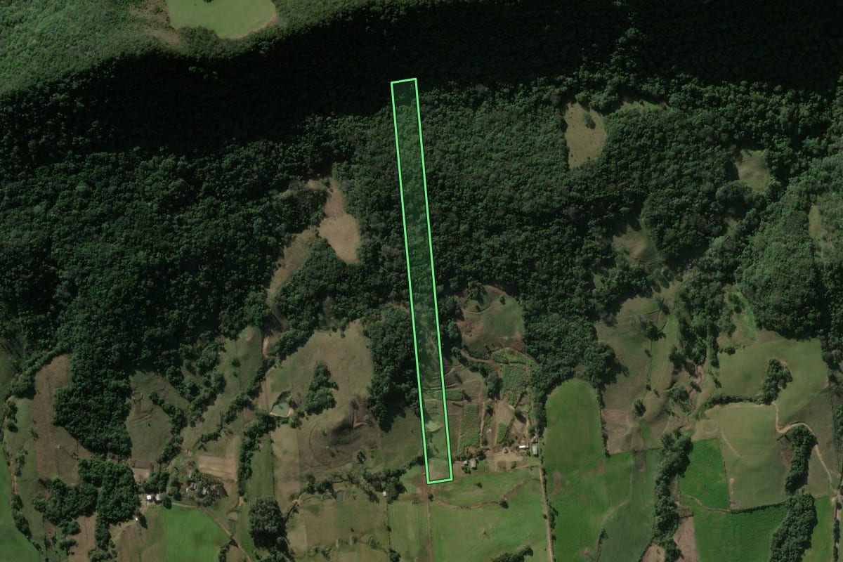 Imagem de satélite do imóvel rural em Santa Maria (RS), com o contorno declarado no CAR desenhado por cima.