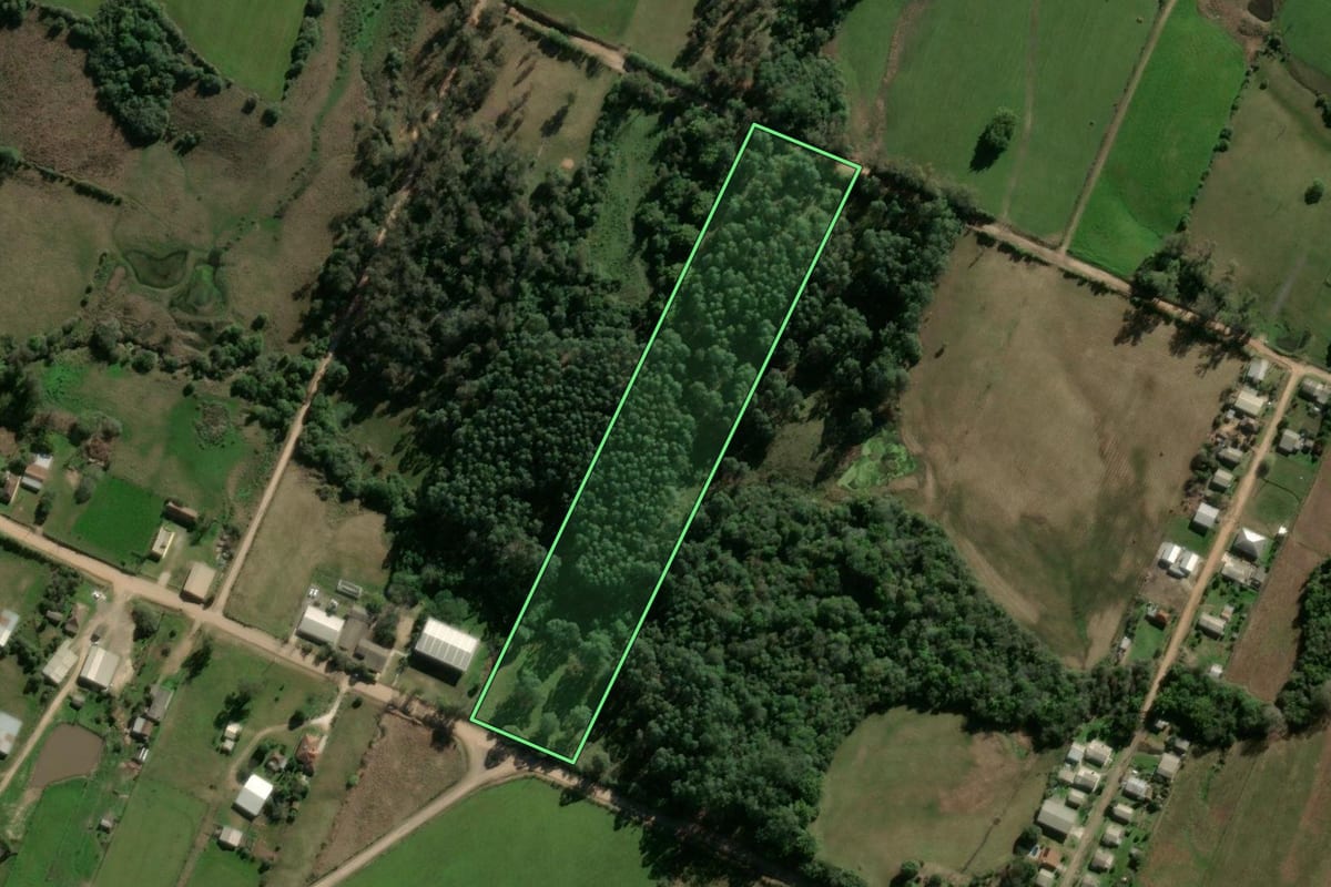 Imagem de satélite do imóvel rural em Santa Maria (RS), com o contorno declarado no CAR desenhado por cima.