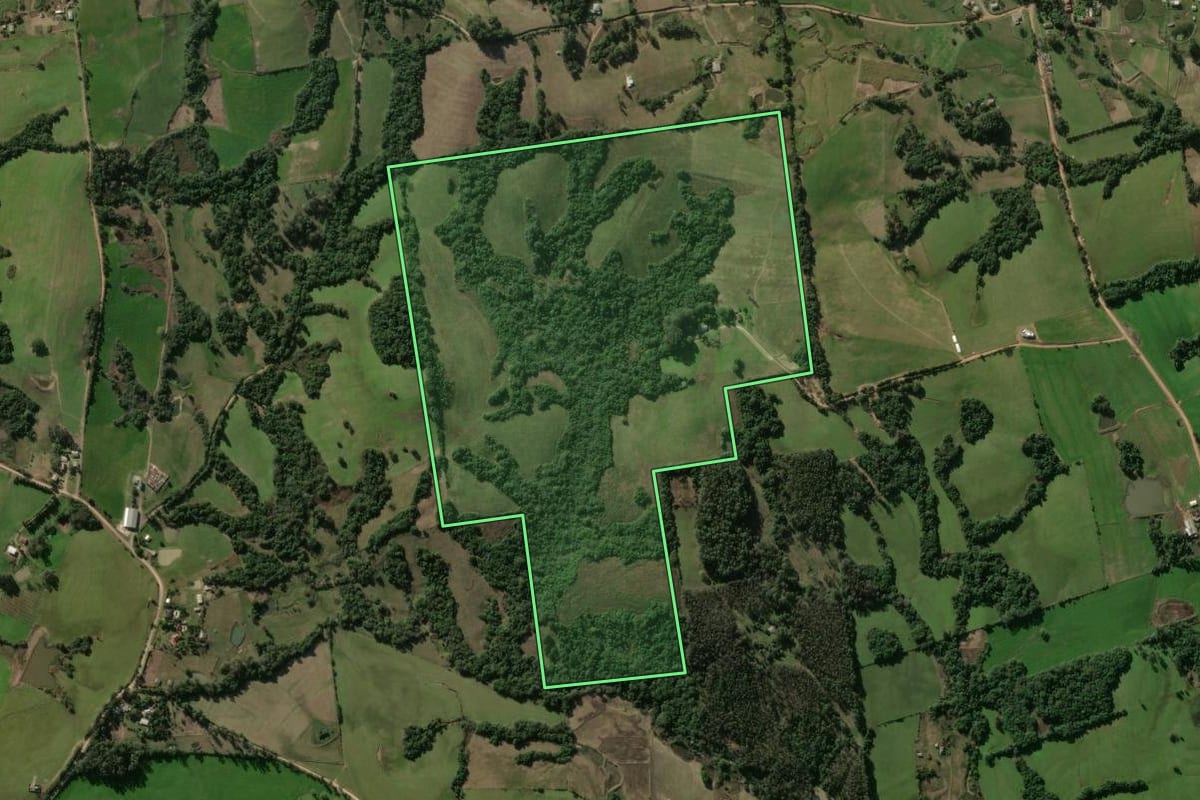 Imagem de satélite do imóvel rural em Santa Maria (RS), com o contorno declarado no CAR desenhado por cima.