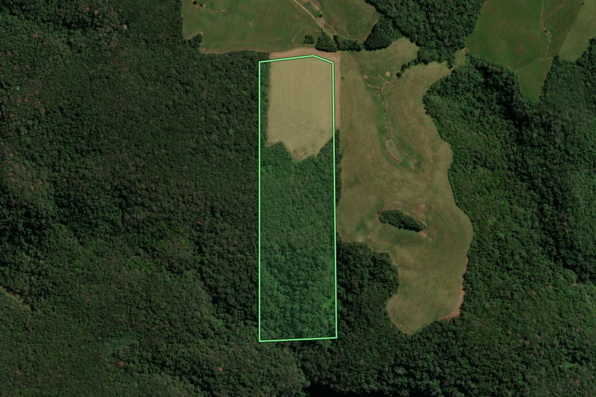 Imagem de satélite do imóvel rural em Santa Maria (RS), com o contorno declarado no CAR desenhado por cima.