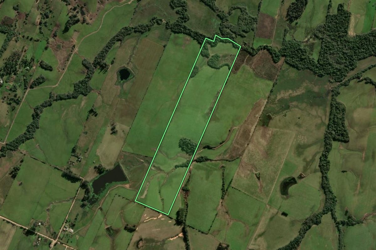 Imagem de satélite do imóvel rural em Santa Maria (RS), com o contorno declarado no CAR desenhado por cima.