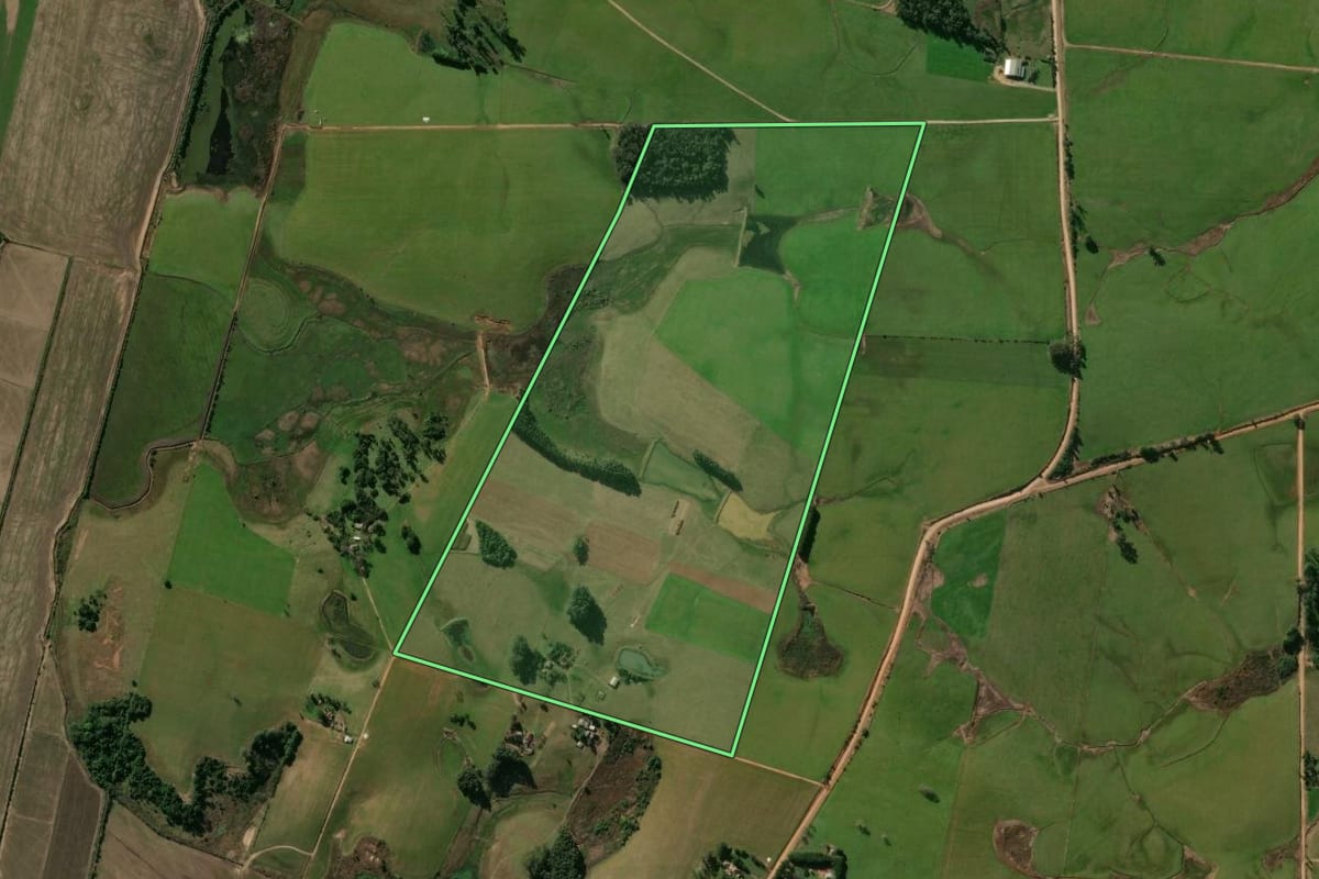Imagem de satélite do imóvel rural em Santa Maria (RS), com o contorno declarado no CAR desenhado por cima.