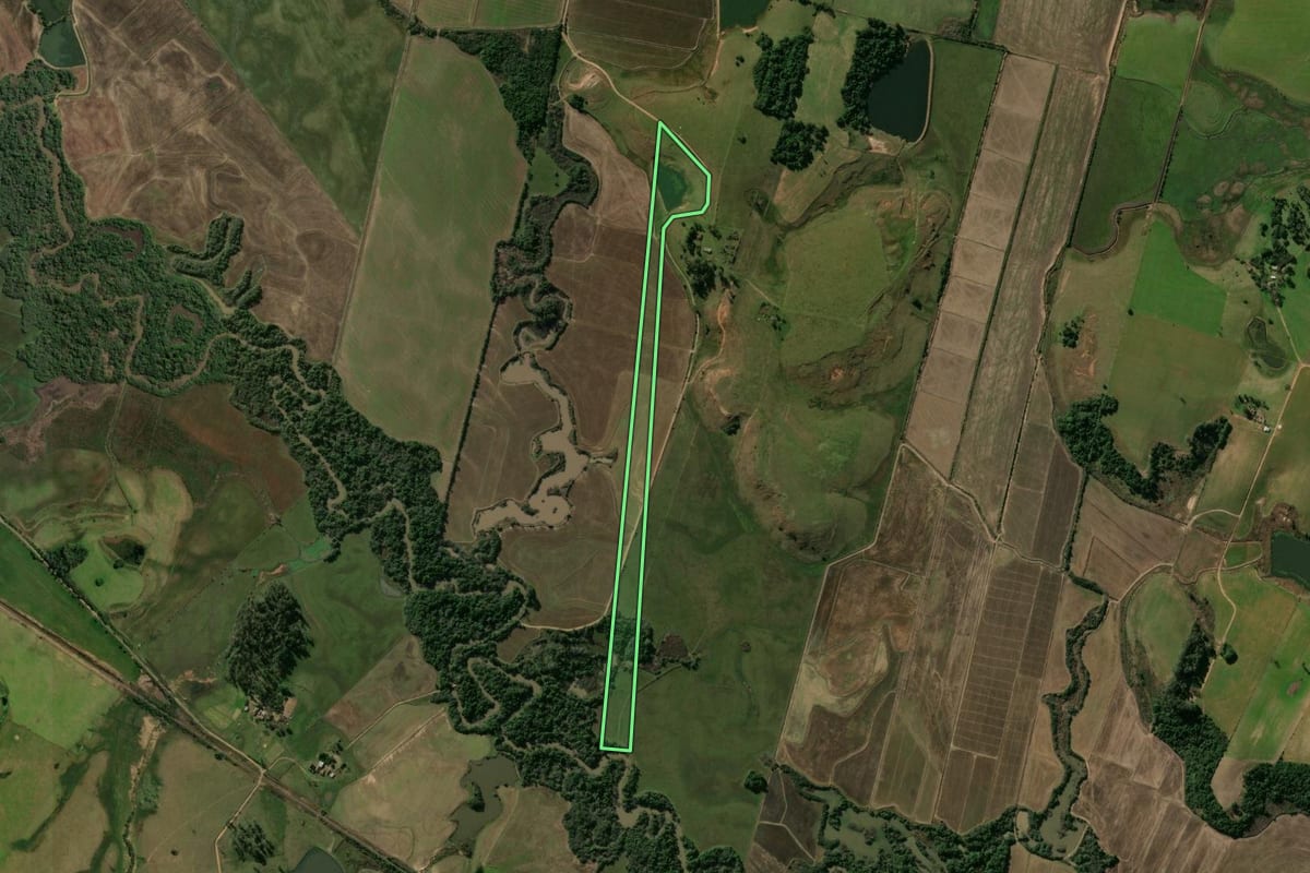 Imagem de satélite do imóvel rural em Santa Maria (RS), com o contorno declarado no CAR desenhado por cima.