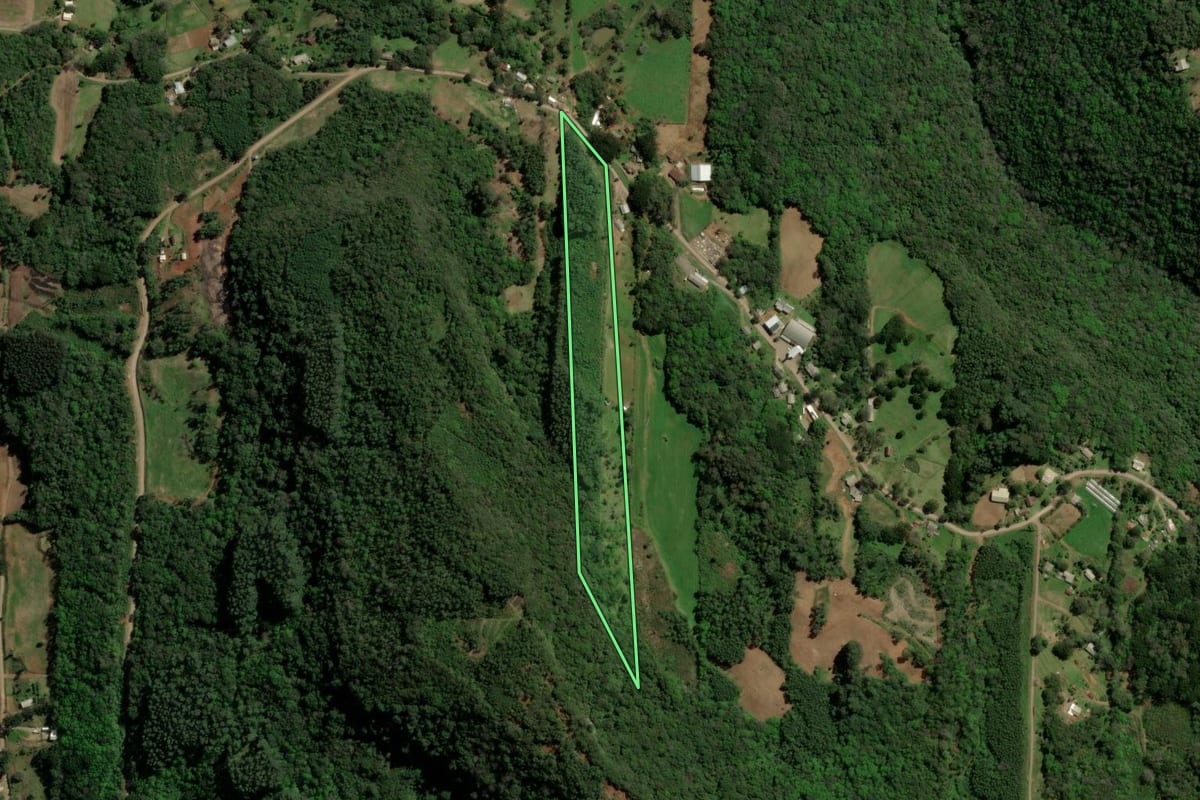 Imagem de satélite do imóvel rural em Santa Maria do Herval (RS), com o contorno declarado no CAR desenhado por cima.