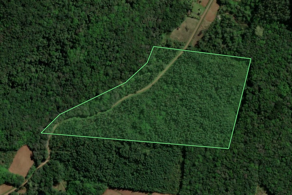 Imagem de satélite do imóvel rural em Santa Maria do Herval (RS), com o contorno declarado no CAR desenhado por cima.