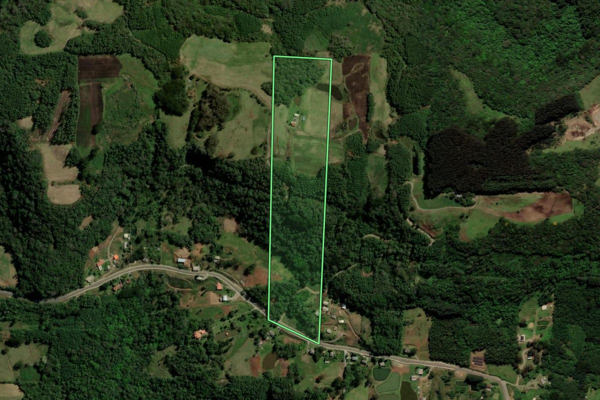 Imagem de satélite do imóvel rural em Santa Maria do Herval (RS), com o contorno declarado no CAR desenhado por cima.