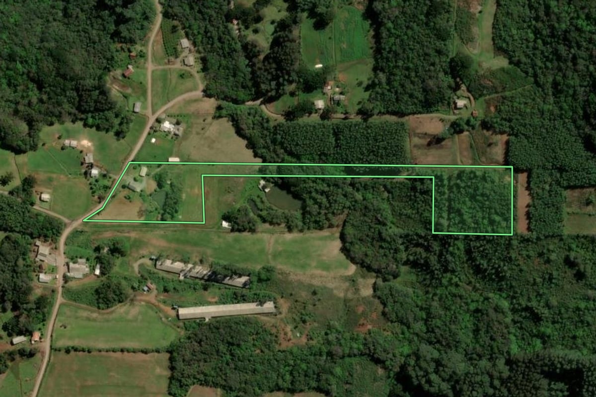 Imagem de satélite do imóvel rural em Santa Maria do Herval (RS), com o contorno declarado no CAR desenhado por cima.