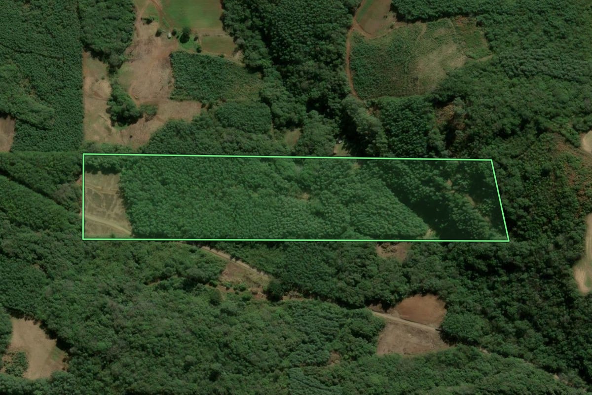 Imagem de satélite do imóvel rural em Santa Maria do Herval (RS), com o contorno declarado no CAR desenhado por cima.