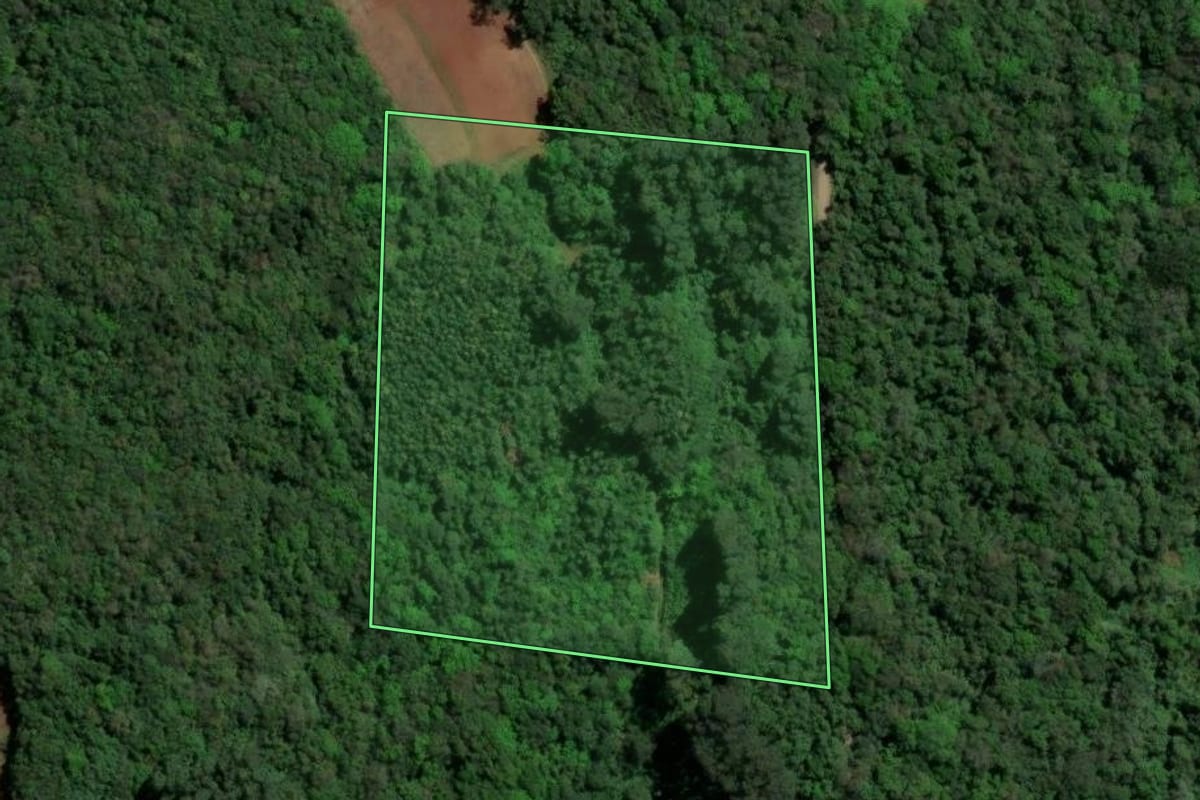 Imagem de satélite do imóvel rural em Santa Maria do Herval (RS), com o contorno declarado no CAR desenhado por cima.