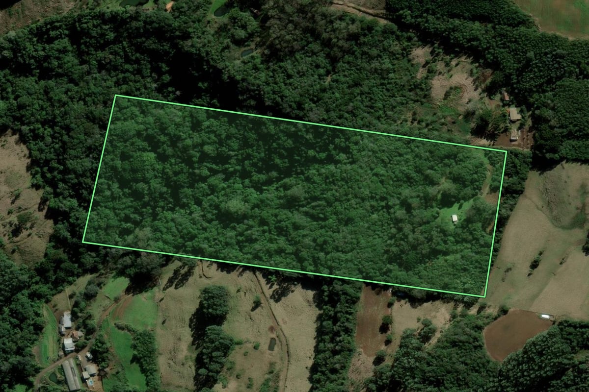 Imagem de satélite do imóvel rural em Santa Maria do Herval (RS), com o contorno declarado no CAR desenhado por cima.