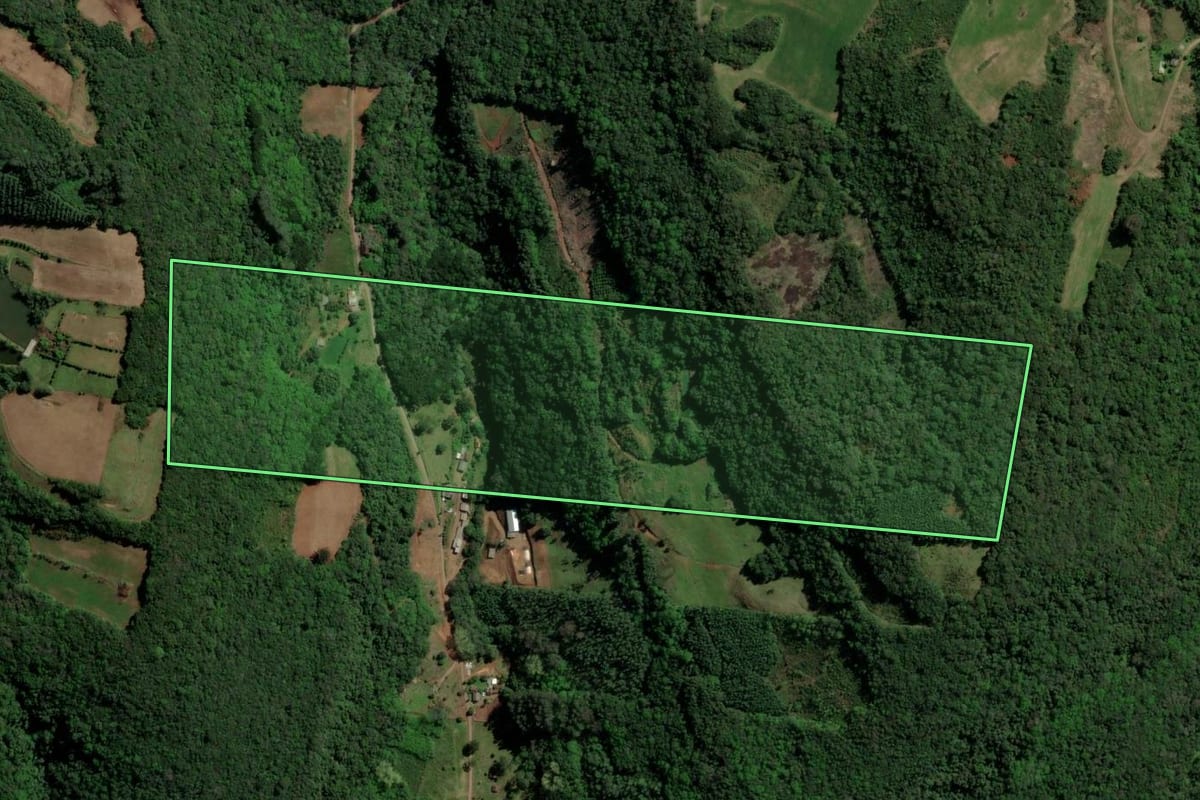 Imagem de satélite do imóvel rural em Santa Maria do Herval (RS), com o contorno declarado no CAR desenhado por cima.