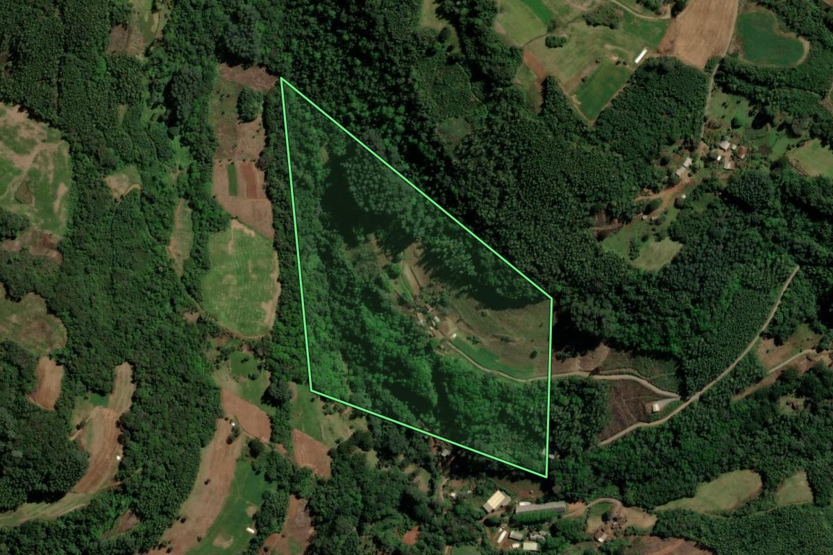 Imagem de satélite do imóvel rural em Santa Maria do Herval (RS), com o contorno declarado no CAR desenhado por cima.